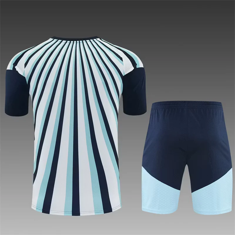 2026-27 Argentina Blue and White Short-Sleeve Training Jersey view 2