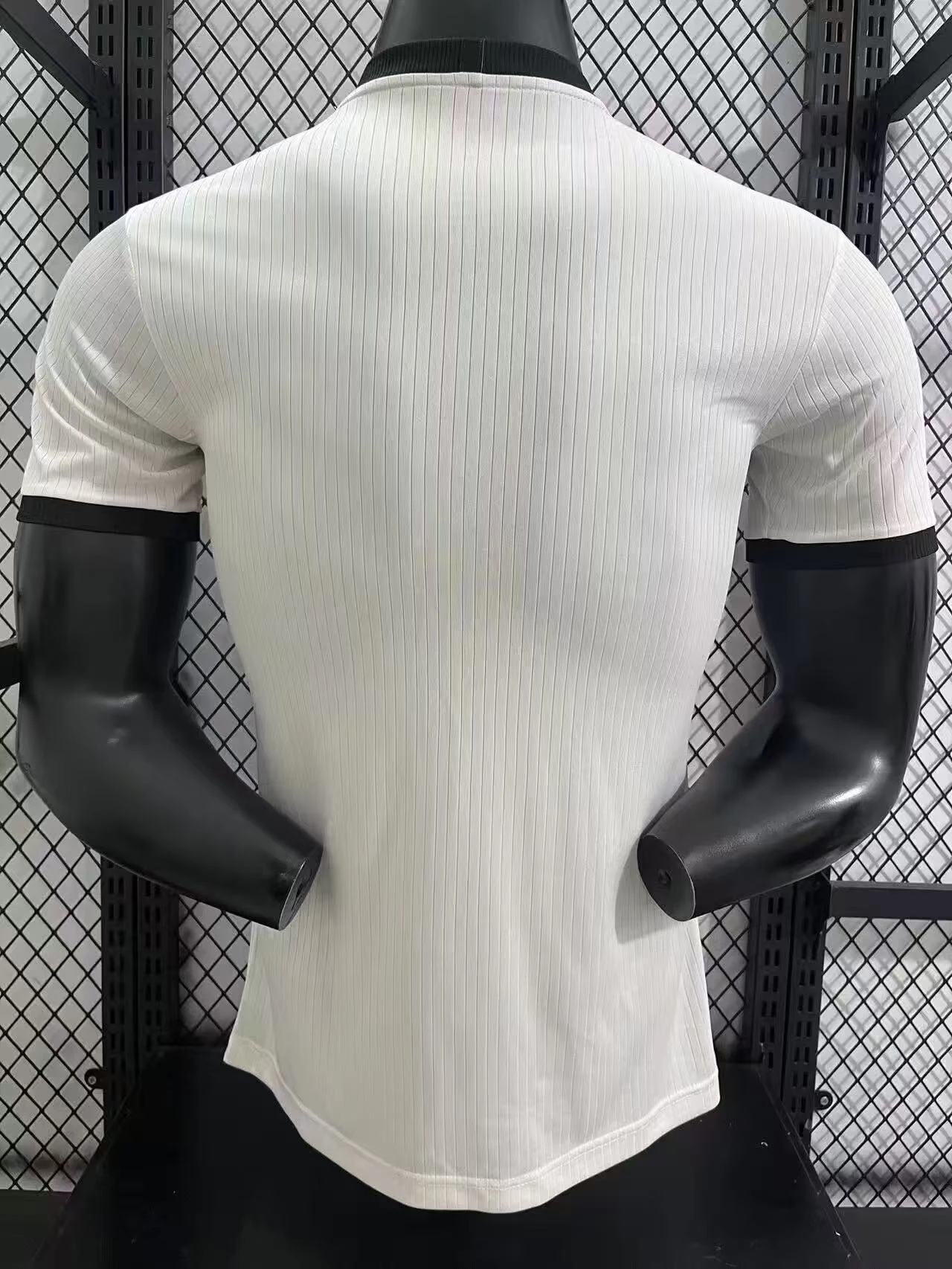 2025–26 Germany National Team 125th Anniversary Jersey – Player Version view 2