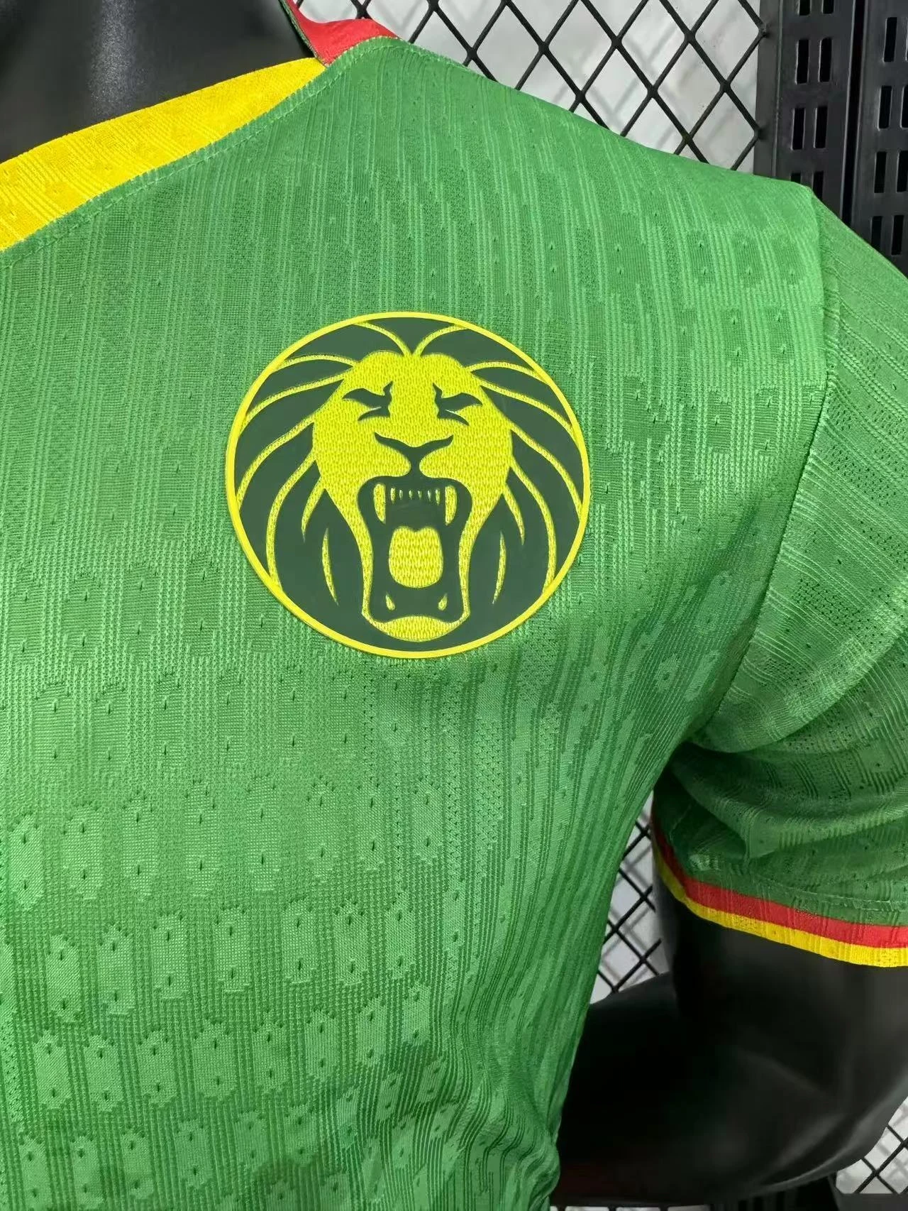 2025-26 Cameroon Home Jersey – Player Version view 5