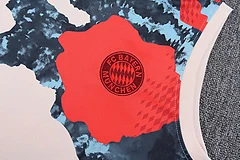 2025-26 Bayern Munich training vest jersey view 9