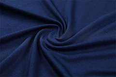 2025-26 Inter Milan Royal Blue Short Sleeve Training Jersey view 7
