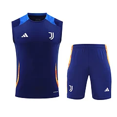 2024-25 Juventus training vest jersey view 19