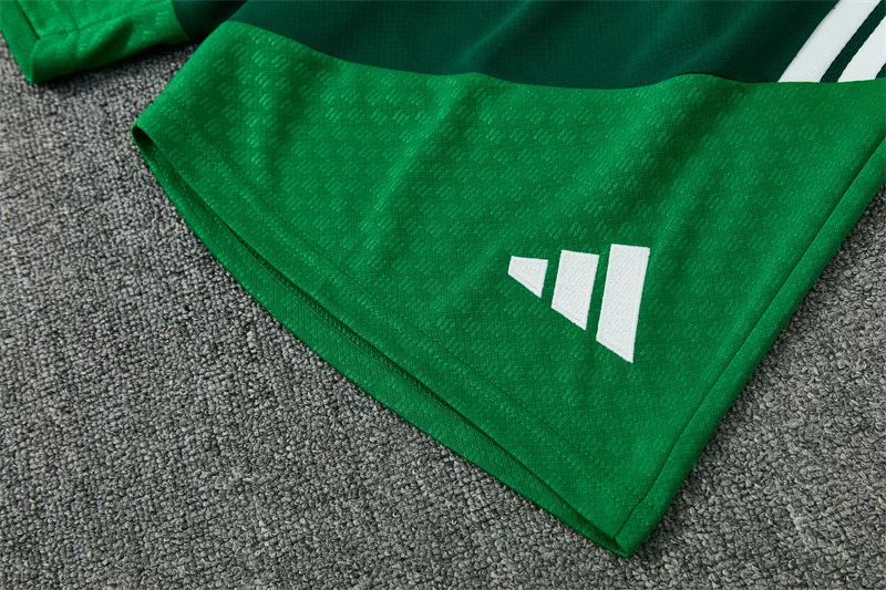 2026-27 Algeria Green Short-Sleeve Training Jersey view 14