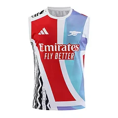 2025-26 Arsenal training vest jersey view 14