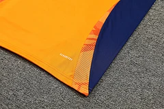 2024-25 Juventus training vest jersey view 6