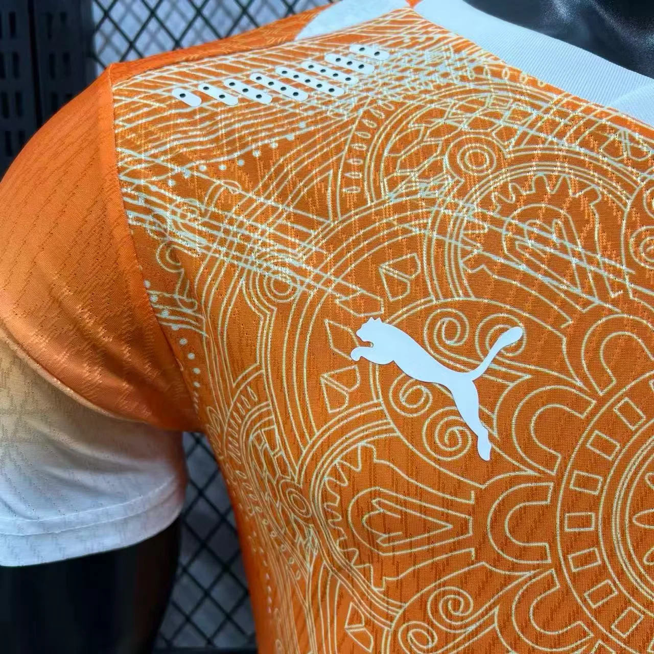 2026 Ivory Coast Special Edition Jersey – Player Version view 4