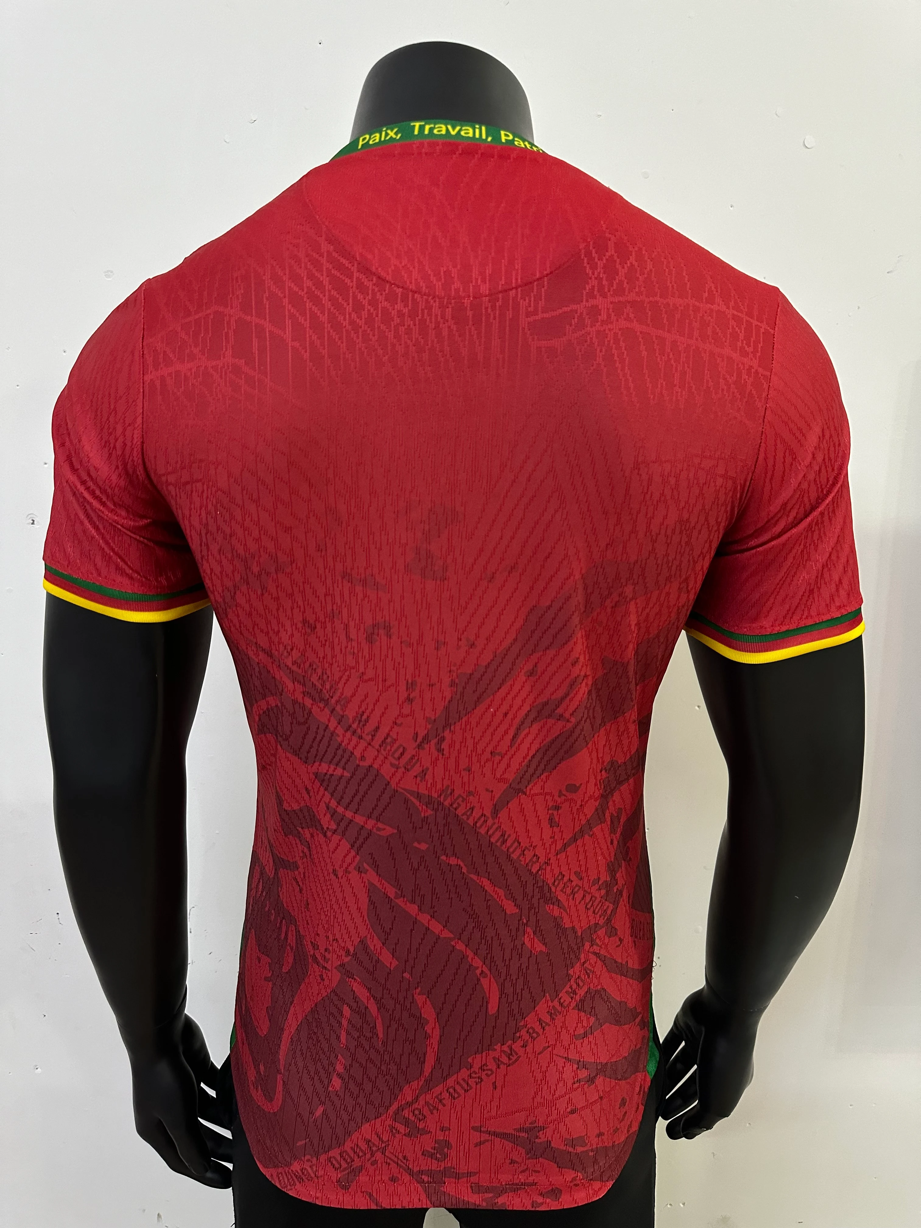 2025-26 Cameroon Away Jersey – Player Version view 2