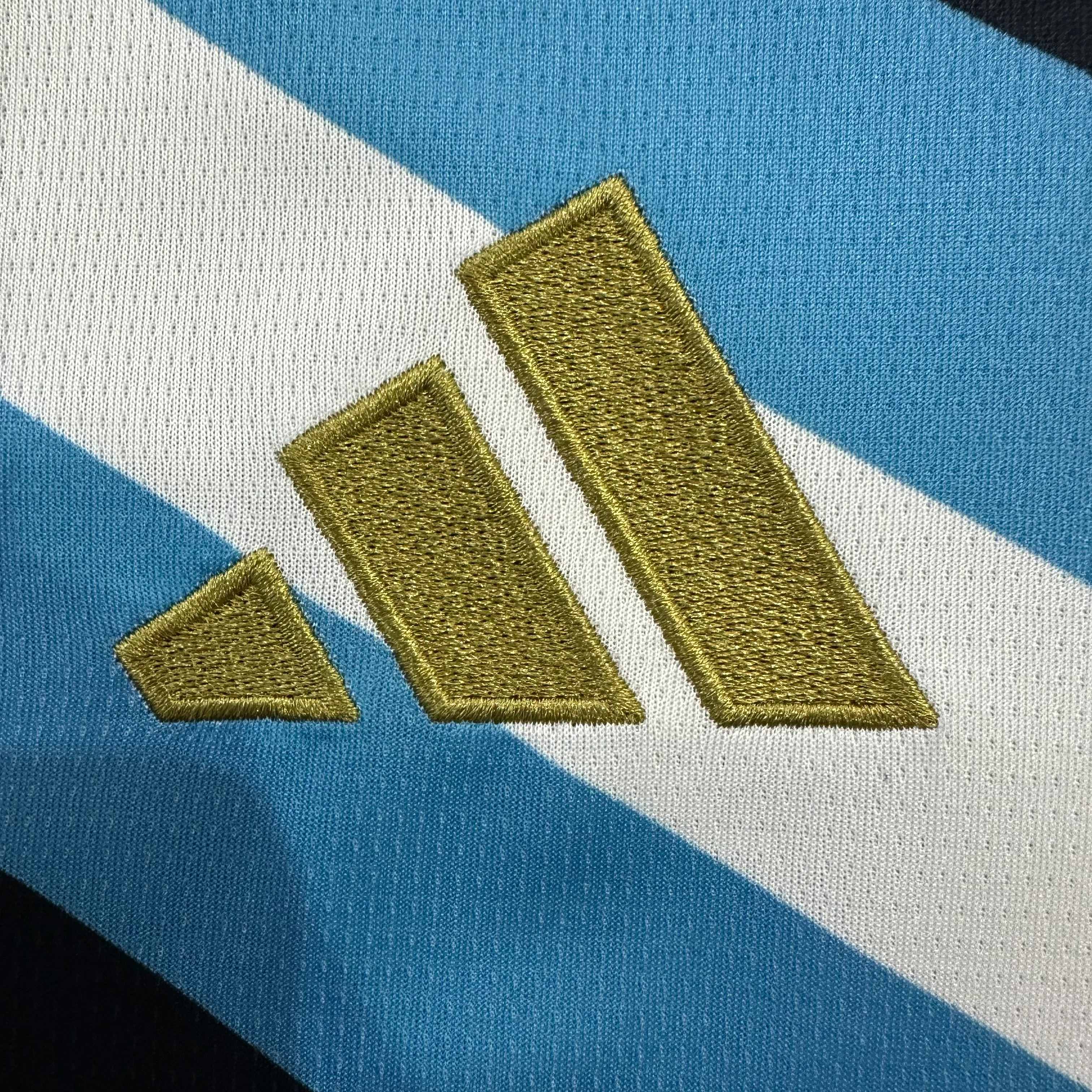 2026-27 Argentina Special Edition Jersey view 6
