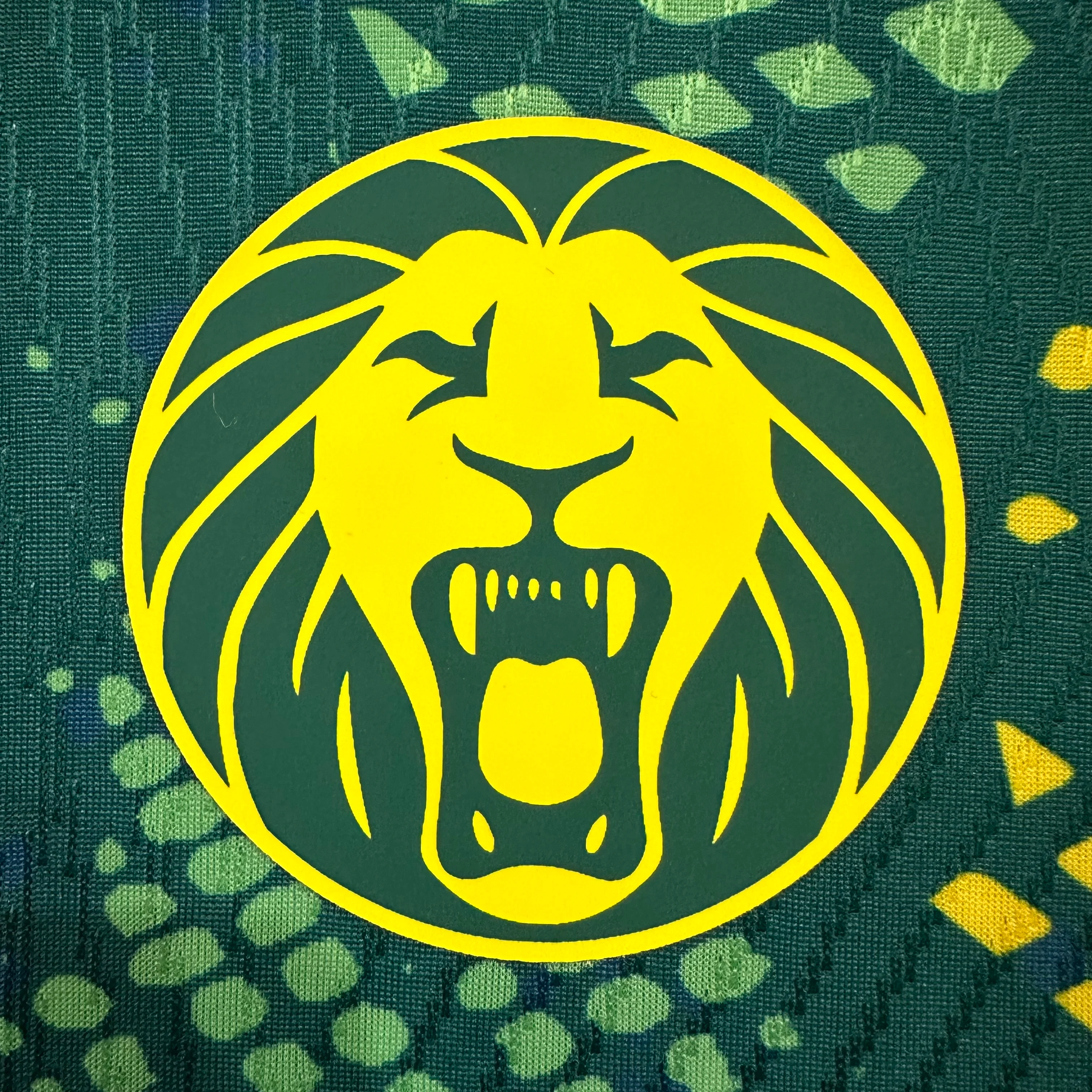 2026-27 Cameroon Home Jersey – Player Version view 5