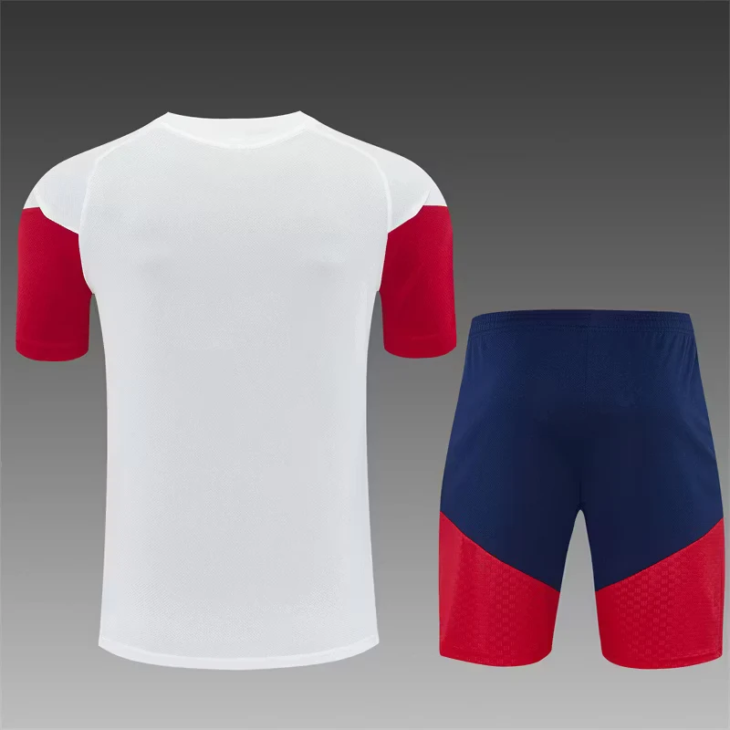 2026-27 Spain White Short-Sleeve Training Jersey view 2
