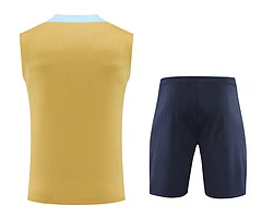 2024-25 France training vest view 18