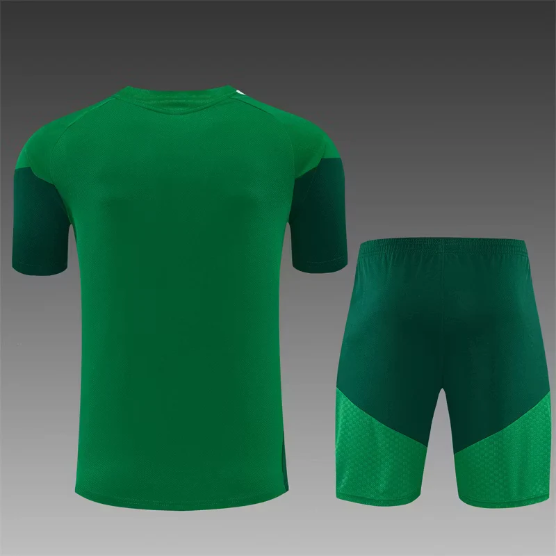 2026-27 Algeria Green Short-Sleeve Training Jersey view 2