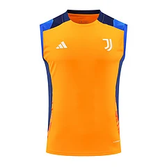 2024-25 Juventus training vest jersey view 16