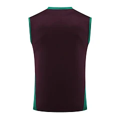 2024-25 Mexico training vest jersey view 15