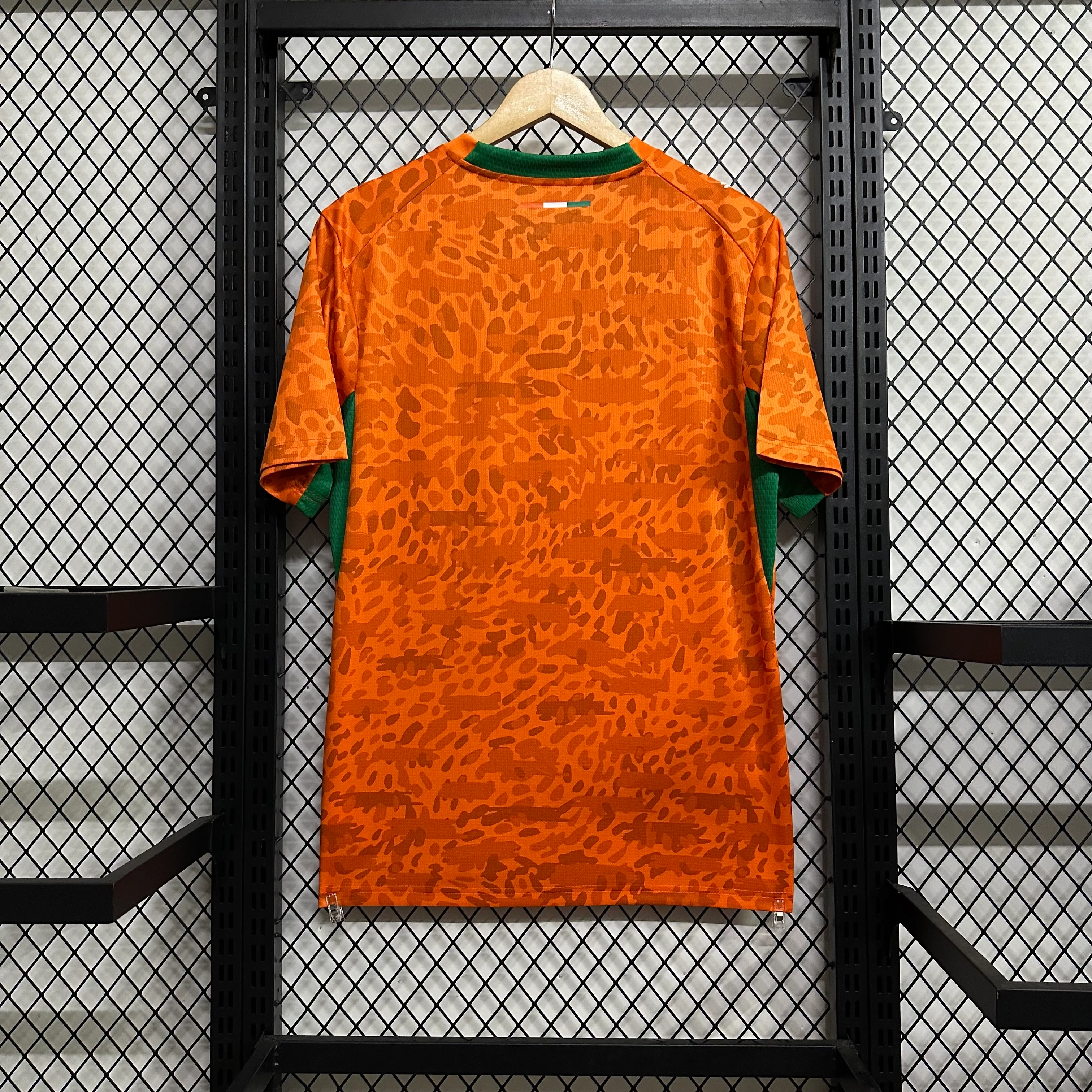 2026-27 Ivory Coast Home Jersey view 2