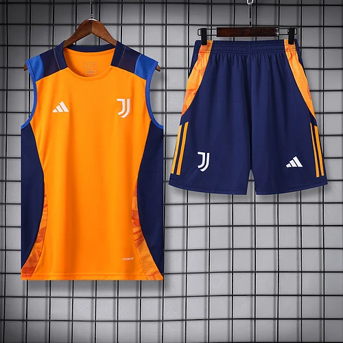 2024-25 Juventus training vest jersey
