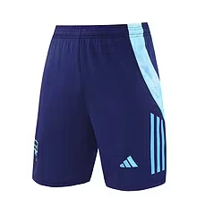 2024-25 Arsenal training vest jersey view 14