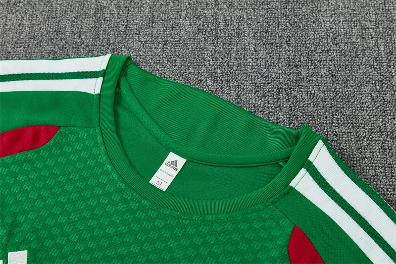 2026-27 Algeria Green Short-Sleeve Training Jersey view 4