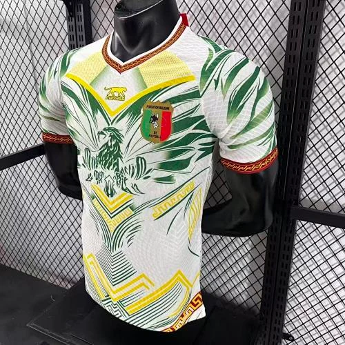 2025-26 Mali Home and Away Jerseys - Player Version view 8