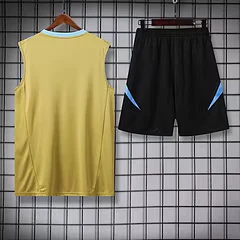 2024-25 Argentina training vest view 2