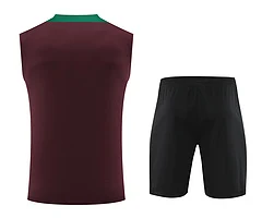 2024-25 Paris Saint-Germain training vest view 18