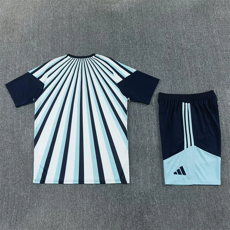 2026-27 Argentina Blue and White Short-Sleeve Training Jersey view 16