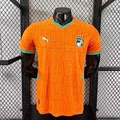 2025-26 Ivory Coast Home Shirt - Player Edition view 10