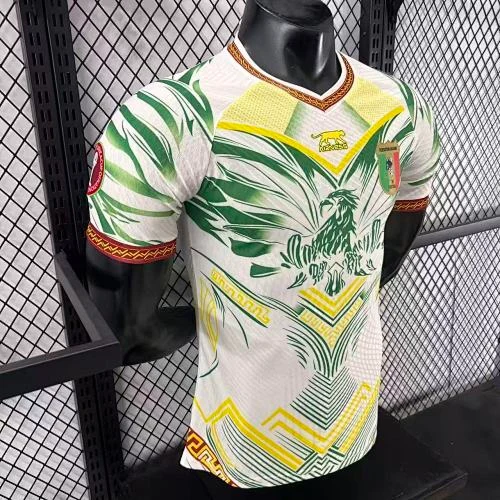 2025-26 Mali Home and Away Jerseys - Player Version view 6