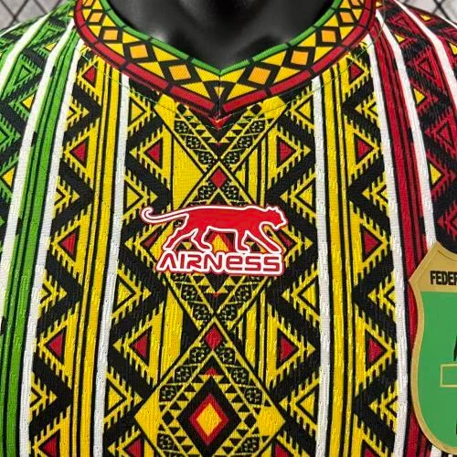 2025-26 Mali Home and Away Jerseys - Player Version view 4