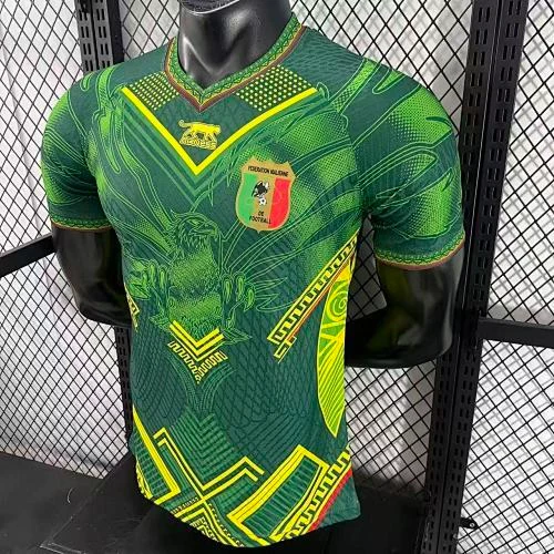 2025-26 Mali Home and Away Jerseys - Player Version view 7