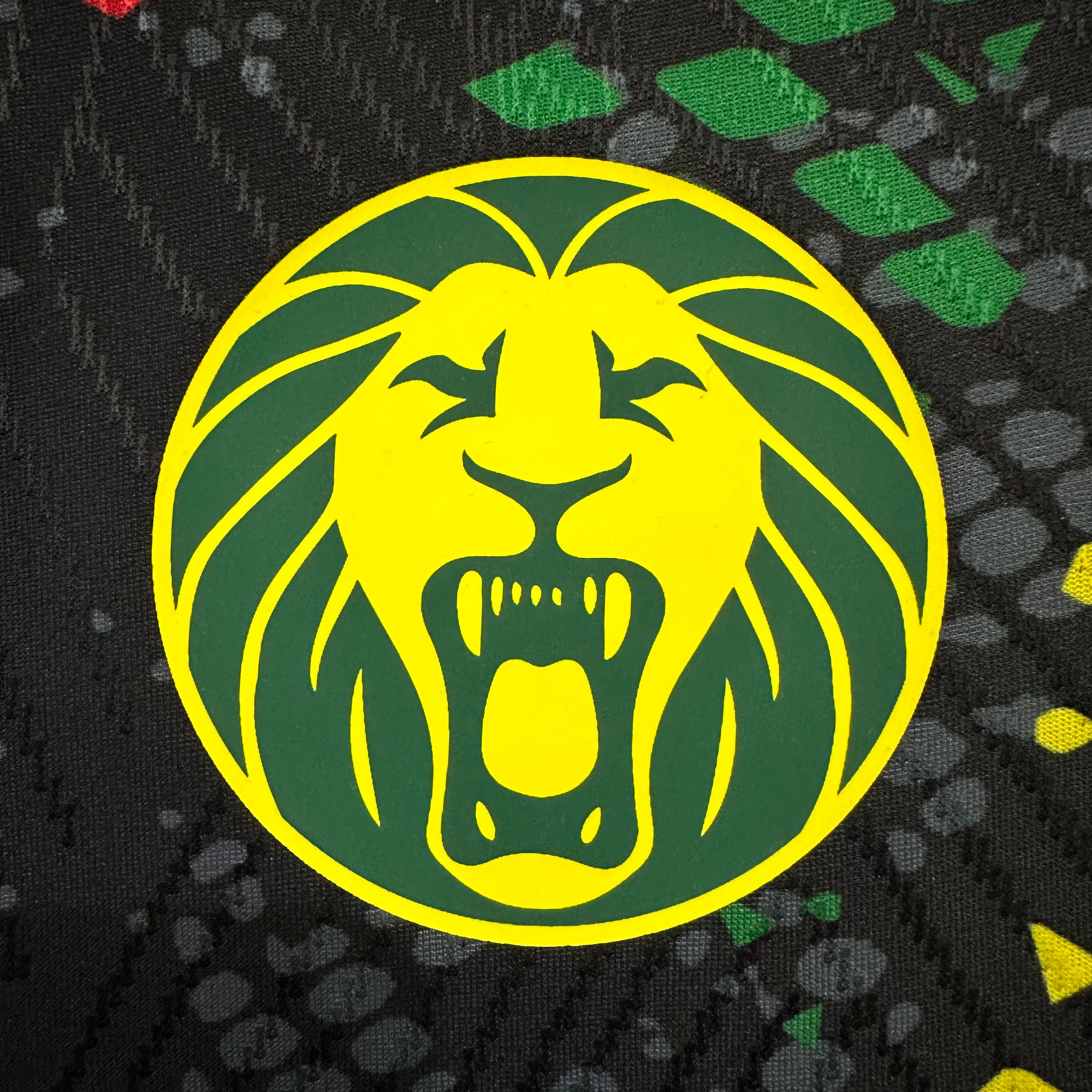 2026-27 Cameroon Second Away Jersey - Player Version view 5