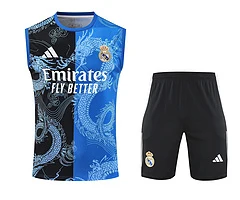 2025-26 Real Madrid Training Vest Jersey view 11