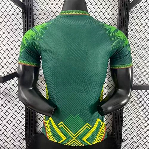 2025-26 Mali Home and Away Jerseys - Player Version view 2
