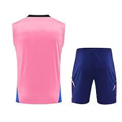 2024-25 Arsenal training vest jersey view 18