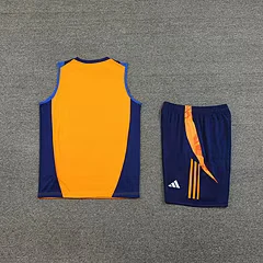 2024-25 Juventus training vest jersey view 10