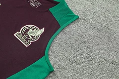 2024-25 Mexico training vest jersey view 8