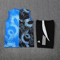2025-26 Real Madrid Training Vest Jersey view 26