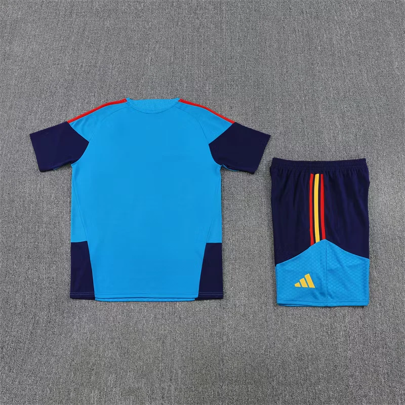 2026-27 Spain Team Lake Blue Short-Sleeve Training Jersey (Two Stars) view 15