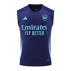 2024-25 Arsenal training vest jersey view 18
