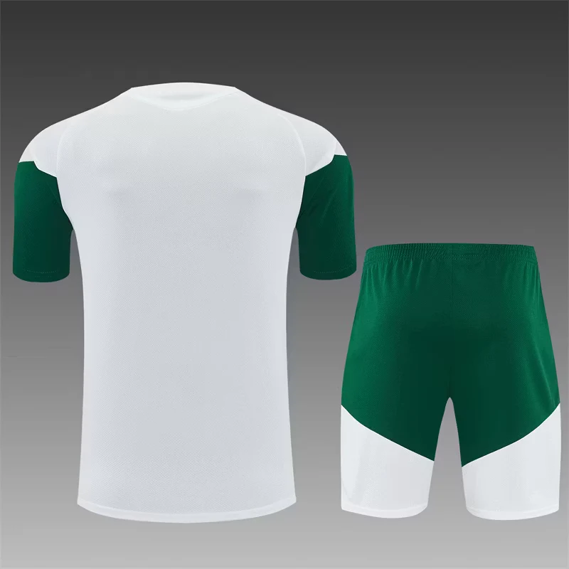 2026-27 Italy White Short-Sleeve Training Jersey view 2
