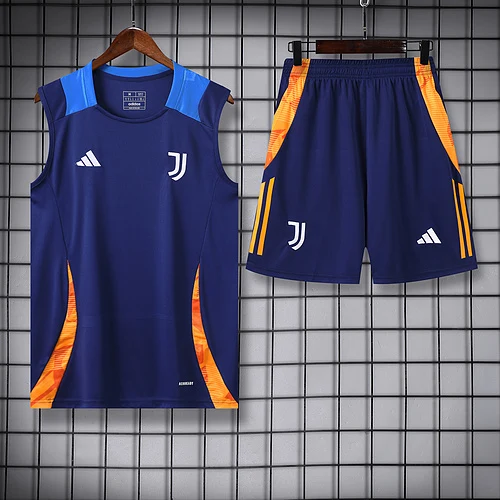 2024-25 Juventus training vest jersey