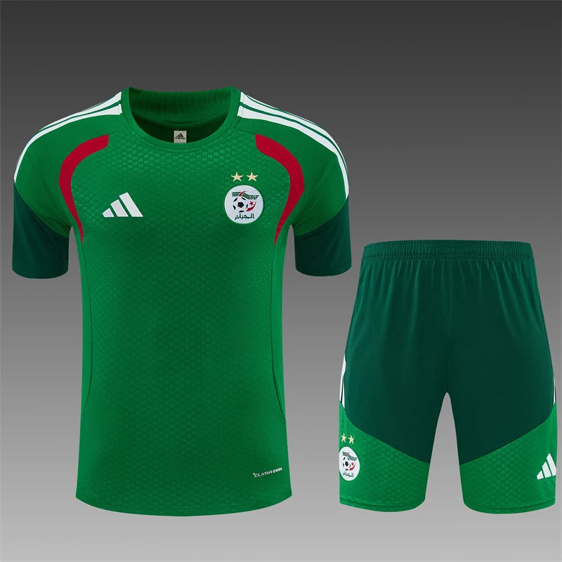 2026-27 Algeria Green Short-Sleeve Training Jersey view 3