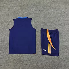 2024-25 Juventus training vest jersey view 5