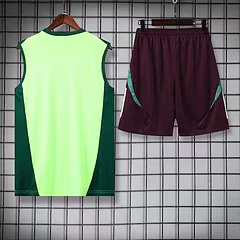 2024-25 Mexico training vest view 2