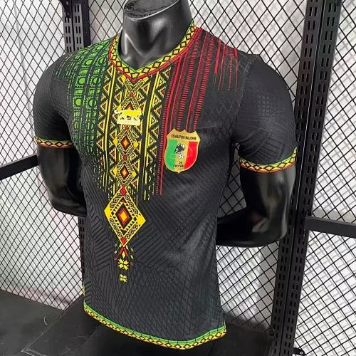 2025-26 Mali Home and Away Jerseys - Player Version view 7