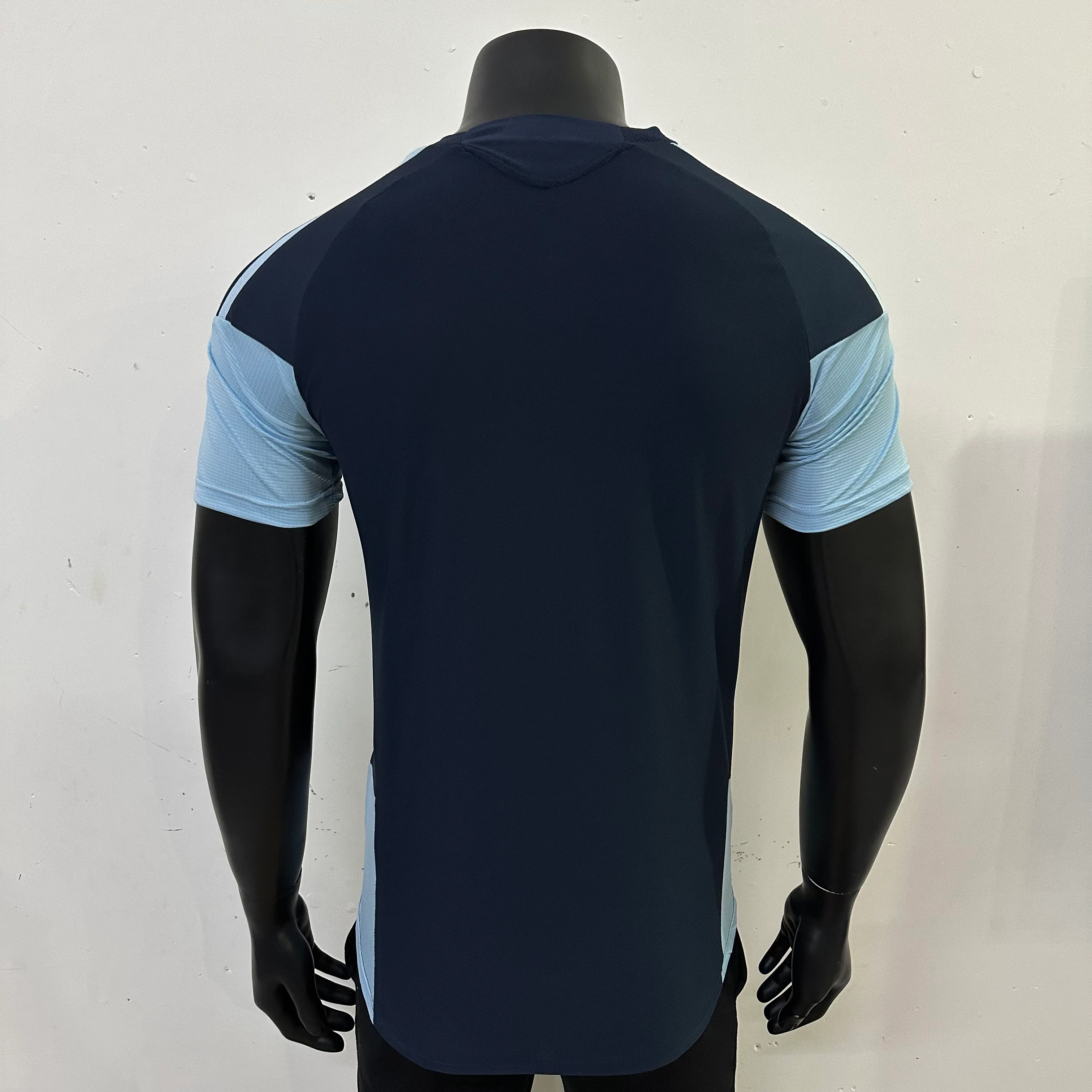 2026-27 Argentina Training Kit – Player Version view 2