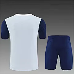 2025-26 Tottenham Hotspur grey short-sleeved training jersey view 2