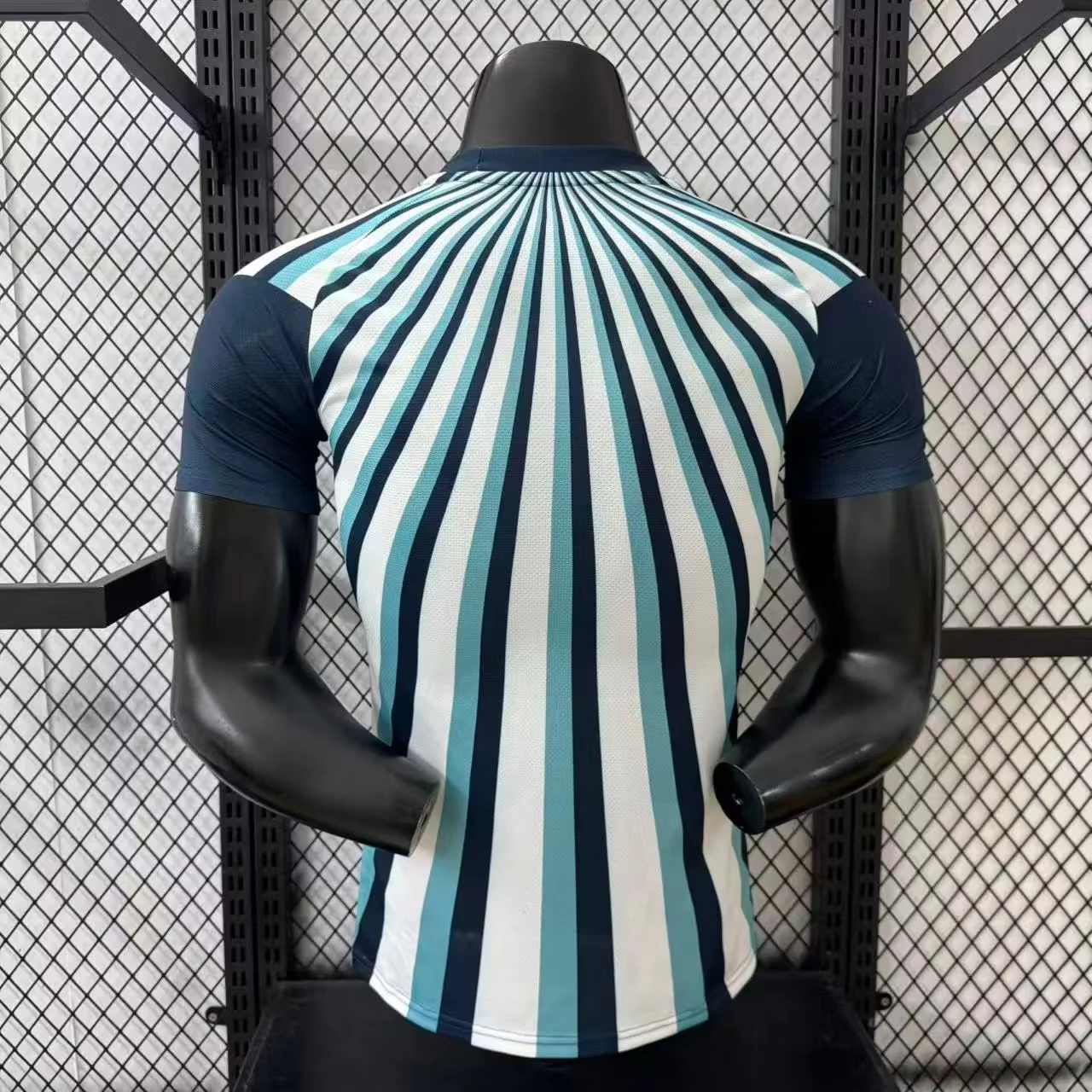 2026 Argentina Special Edition Jersey - Player Version view 2