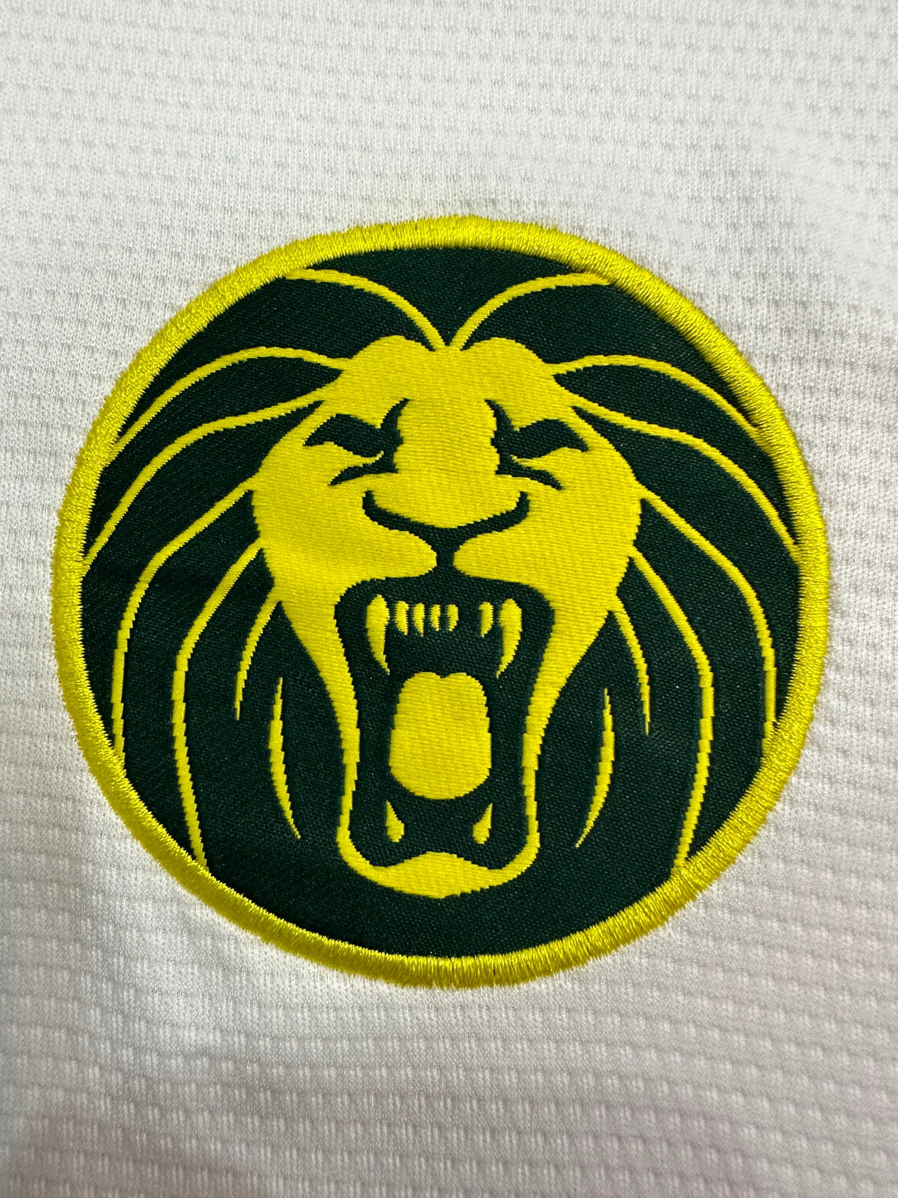 2025-26 Cameroon Second Away Jersey view 8