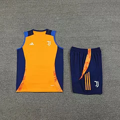 2024-25 Juventus training vest jersey view 8